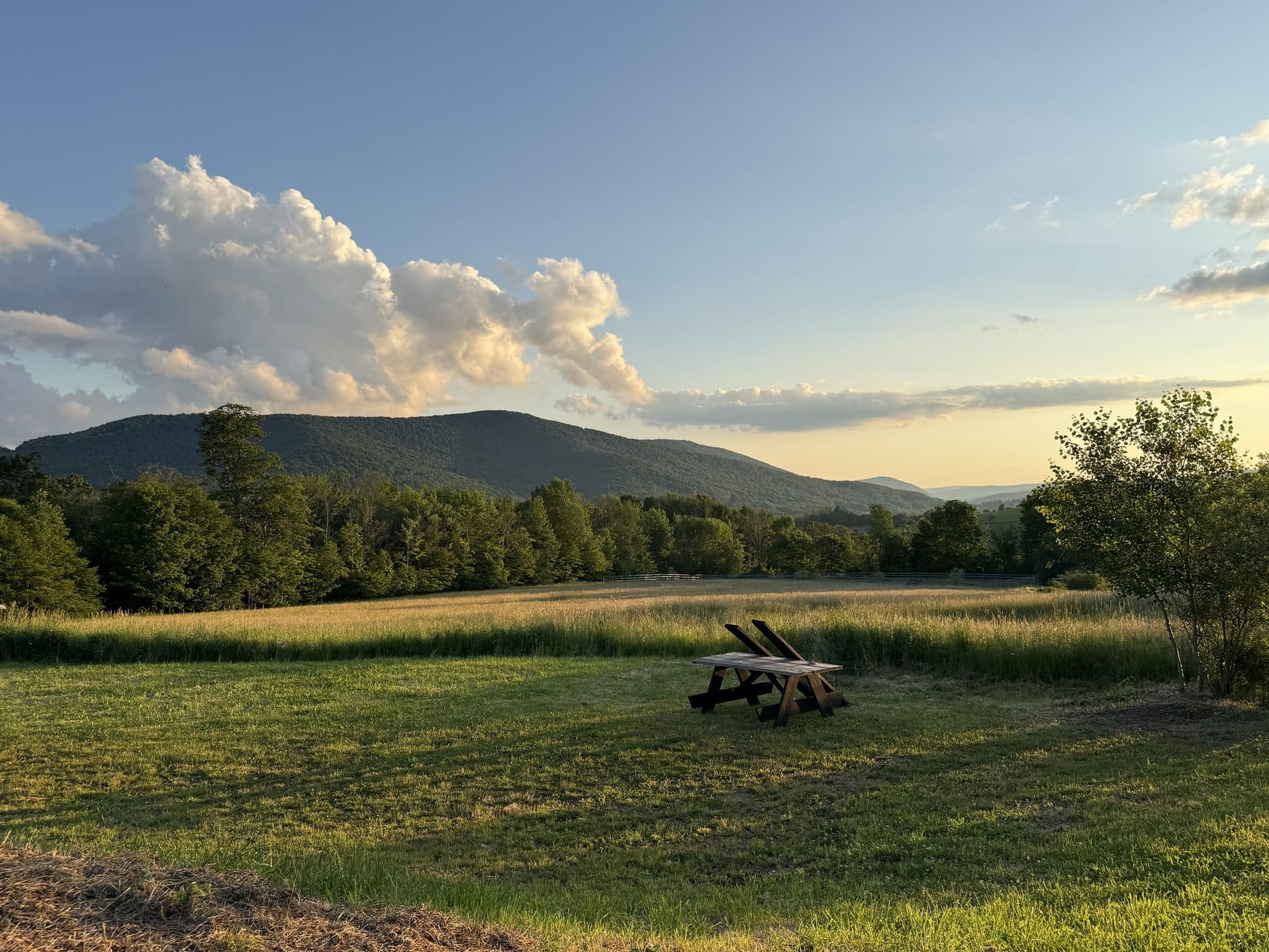Golden hour over the meadow and the Catskill ridge