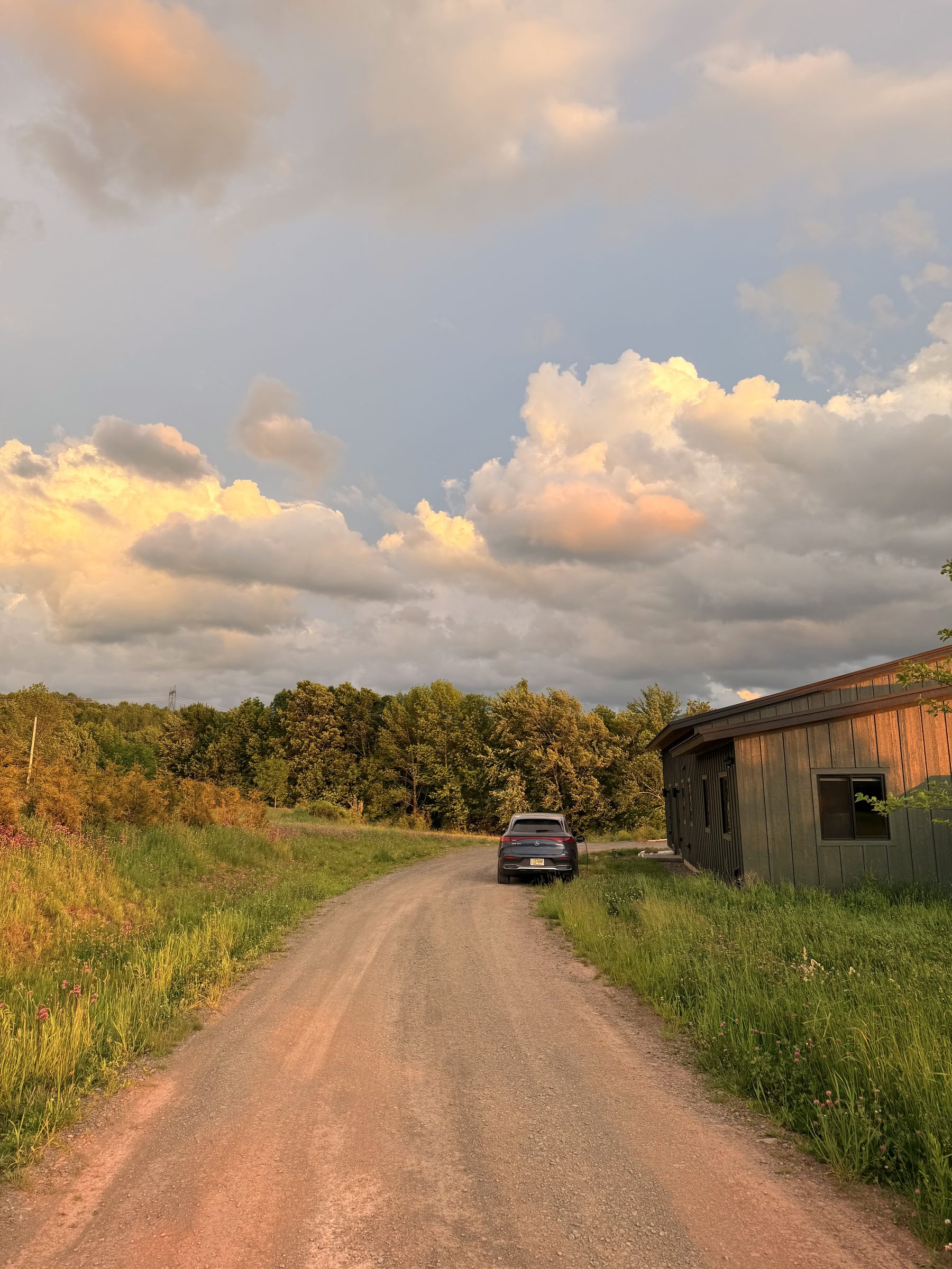 The gravel drive up to the house at golden hour