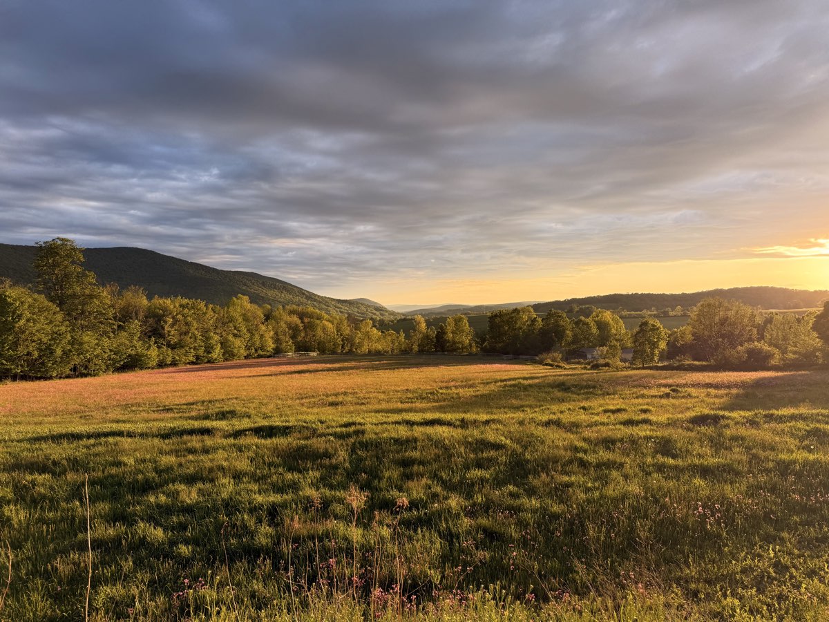 Golden hour over the meadow and the mountain ridge