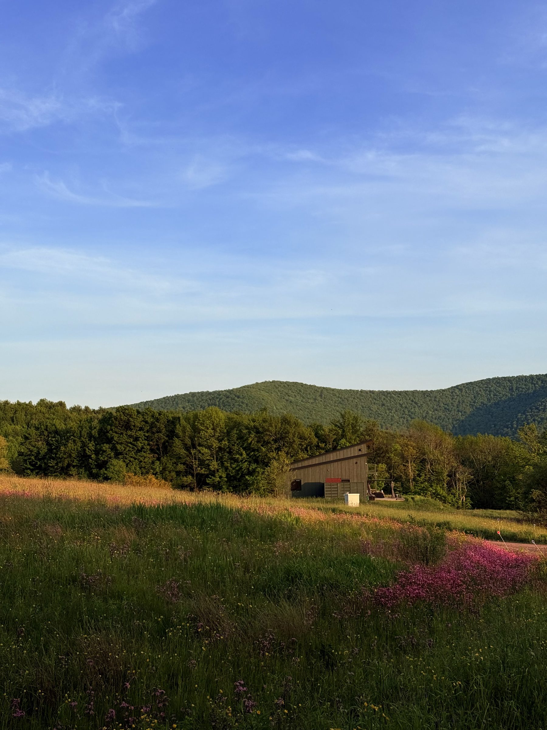 The house across the wildflower meadow, ridge behind
