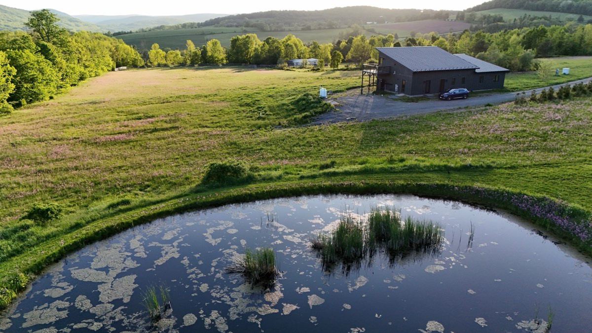 Aerial view over the pond toward the house and the ridge